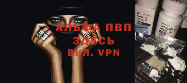 apvp Кострома