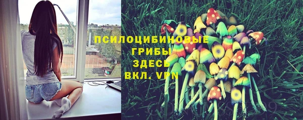 мдпв Куйбышев