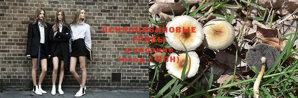 мдпв Куйбышев