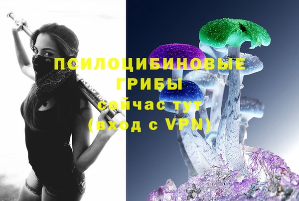 винт Бугульма