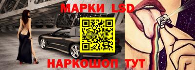 гашик Будённовск