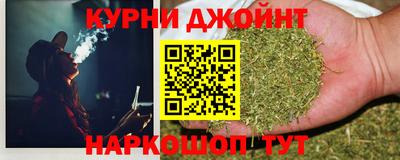гашик Будённовск