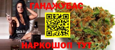 гашик Будённовск